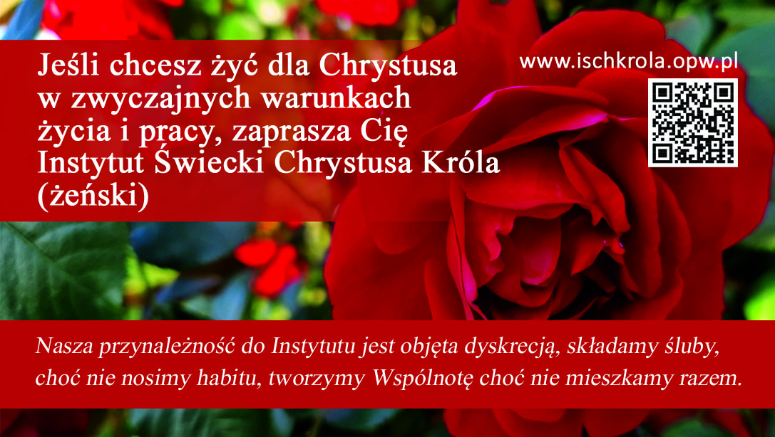 wizytowka